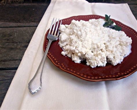 Alton Browns Quick Homemade Cottage Cheese With Vinegar Cottagecheese