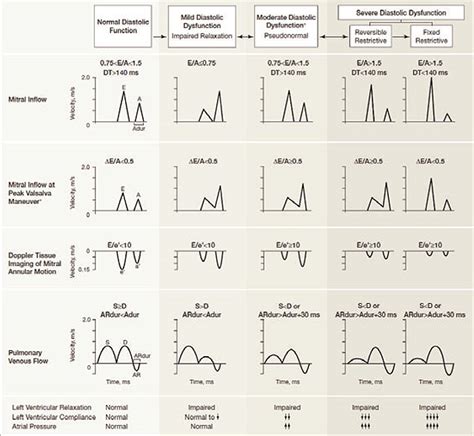 LearnOnly Heart Echo Assessment Of Diastolic Heart Dysfunction