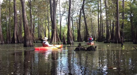 Rv sites, rustic cabins, tent and wilderness camping for individuals, families and groups. BIG THICKET NATIONAL PRESERVE Paddle the Big Thicket