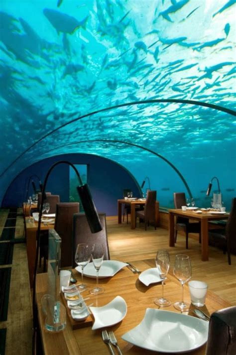 Underwater Restaurant The Maldives Pinlovely