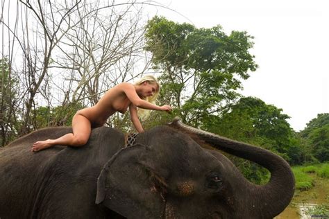 Foreign Girl Nude With An Elephant In Sri Lanka Pics SexiezPicz Web Porn