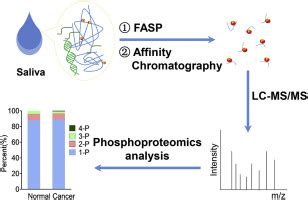Affinity Chromatography Assisted Comprehensive Phosphoproteomics