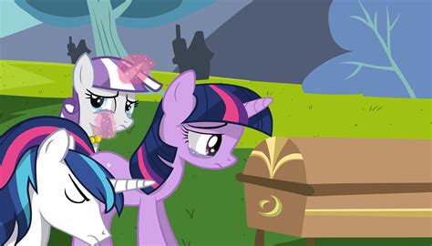 Image Gallery Mlp Grave