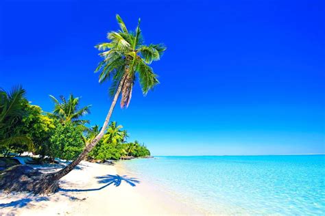 Most Beautiful White Sand Beaches In The World Beaches In The World