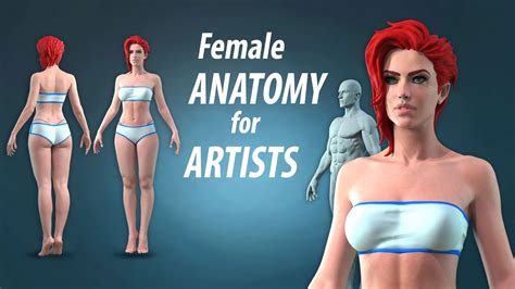 Female Anatomy Models For Artist Great Porn Site Without Registration
