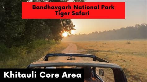 Tiger Sighting In Khitauli Zone Bandhavgarh National Park