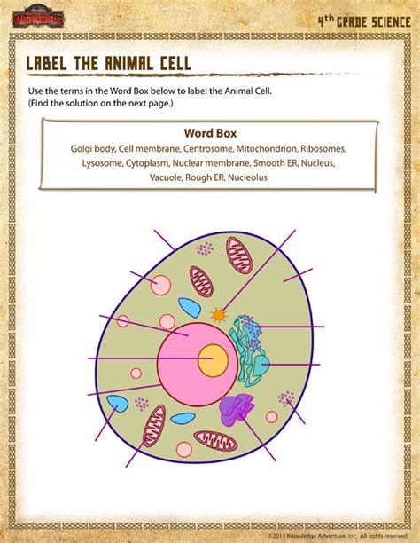 Label The Animal Cell Worksheet