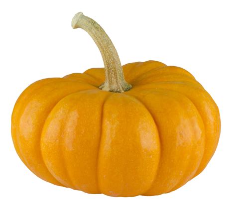 Pumpkin Png