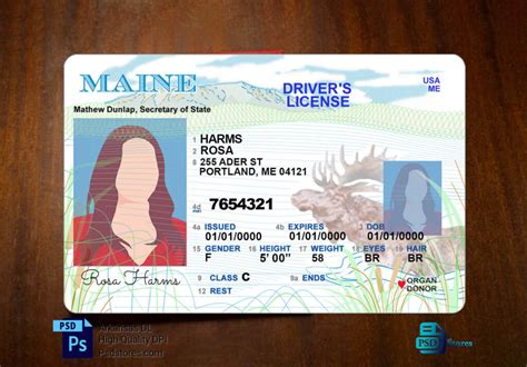 Maine Driver License Template Psd Stores