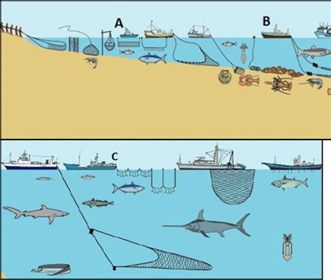 Que Es La Pesca Y Sus Tipos Pesca Información