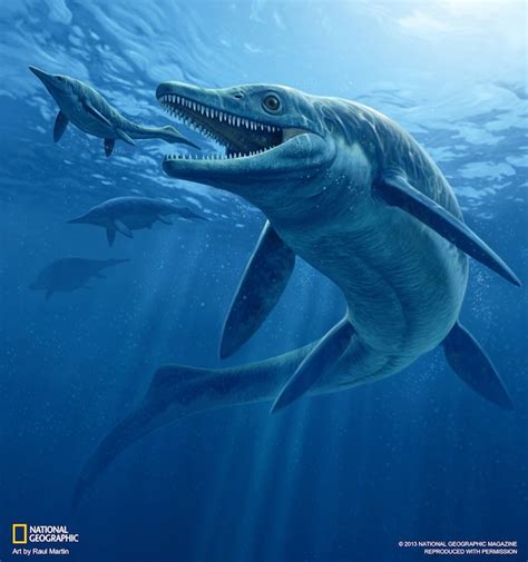 Download Giant Predatory Ichthyosaur Discovered in Nevada | WIRED