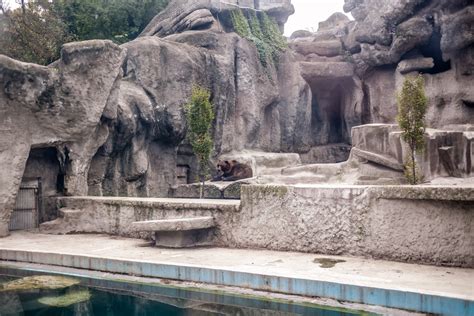 The Budapest Zoo And Botanical Garden Turns 150 Years Old English