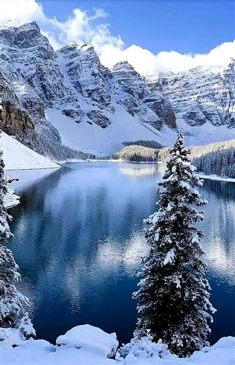 Lago Moraine ¡¡canadá In 2020 Winter Scenery Winter