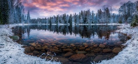 Crispy Winter Morning Aulanko Nature Reserve Hameenlinna Finland