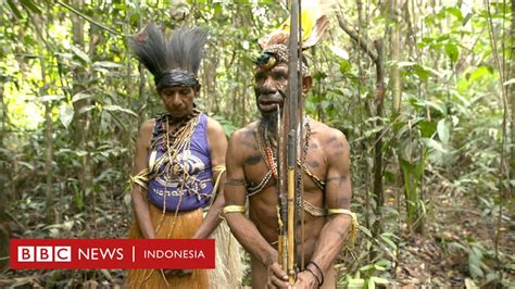 Hutan Di Papua Menghadapi Ancaman Serius Akibat Perluasan Kebun Kelapa