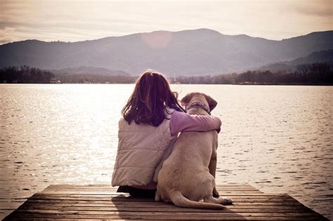 Outside of a dog, a book is a man's best friend. 5 Marketing Lessons from Man's Best Friend - Marketo