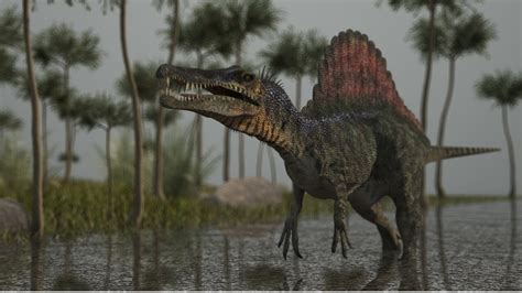 Spinosaurus Could Swim A Swimming Dinosaur Youtube