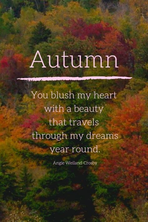 50 Autumn Quotes And Fall Quotes And Captions To Enchant And Deepen The