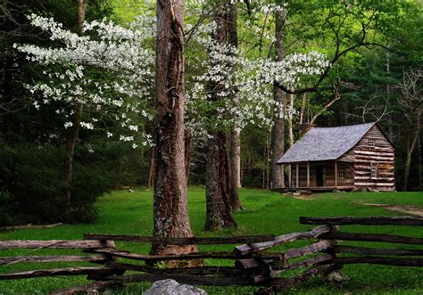 Maybe you would like to learn more about one of these? Smoky Mountains