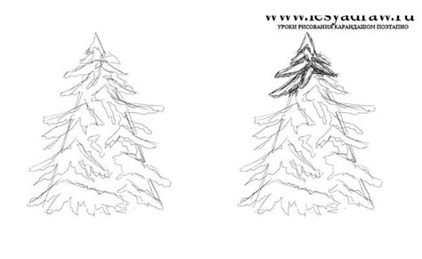 როგორ დავხატოთ ნაძვის ხე თოვლში ყველაფერი ტატუს შესახებ