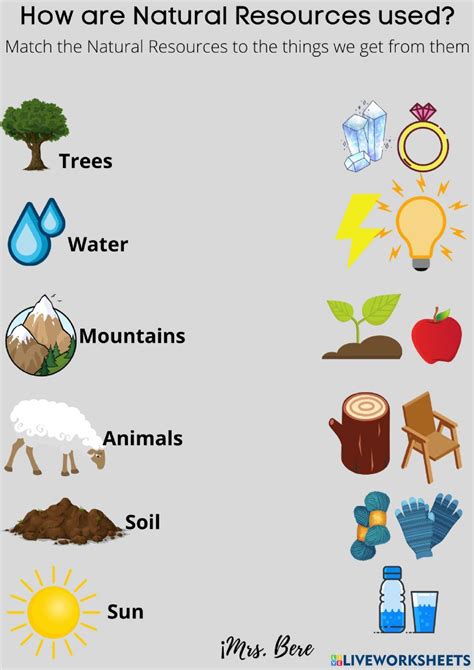 The Different Types Of Natural Resources Are Shown In This Graphic