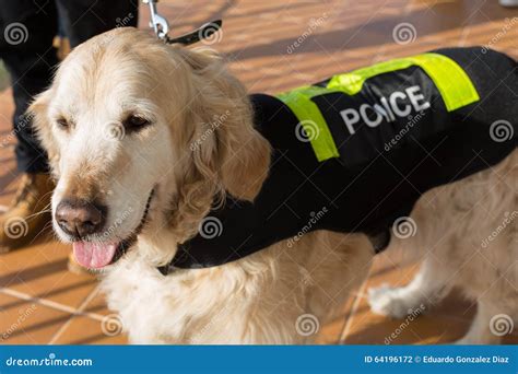 Police Dog With Distinctive Stock Photo Image 64196172