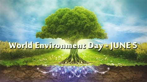 World Environment Day 2017| world environment| - My Site