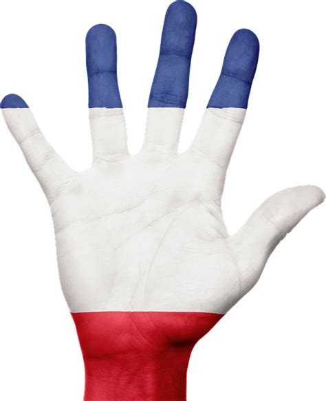 Free Photo France Flag Hand French Free Image On Pixabay 636559