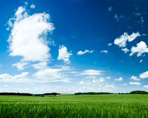 Cute Photography Love: Summer