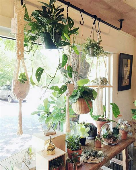 Charming 10 Diy Hanging Window Plant Ideas House Plants Hanging