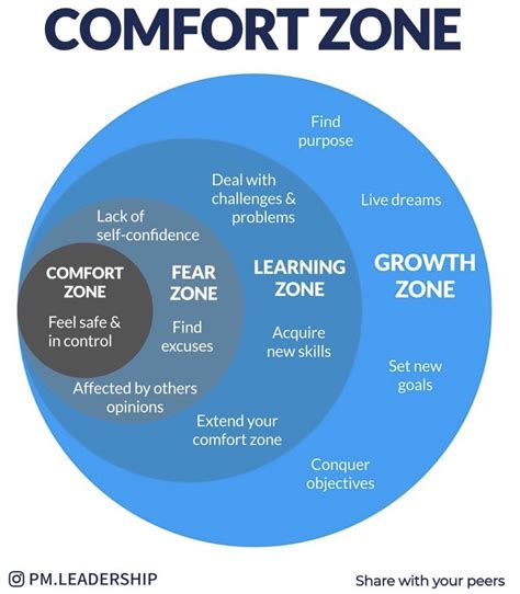 Comfort Zone Circles Swipe File