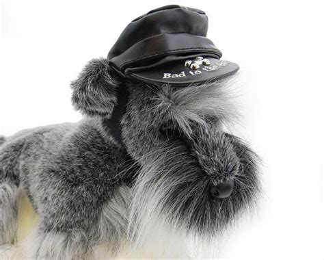 31 Cool Dog Hats For Dogs Of All Shapes And Sizes Awesome Stuff 365
