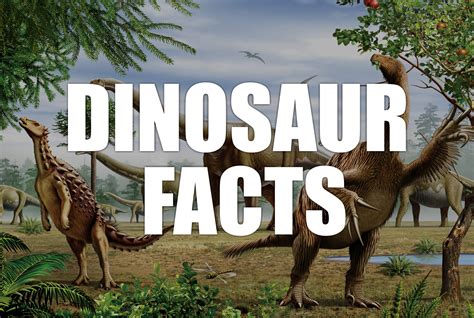97 Interesting Facts About Dinosaurs Dinosaur Facts Dinosaur Prehistoric