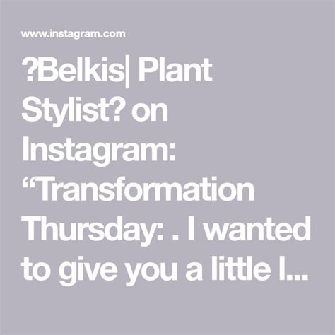 🌱belkis Plant Stylist🌱 On Instagram “transformation Thursday I