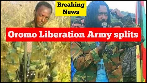 Breaking News Oromo Liberation Army Ola Splits Youtube