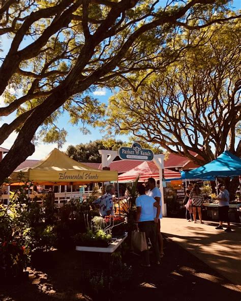 Kamuela Farmers Market - Big Island Reviews