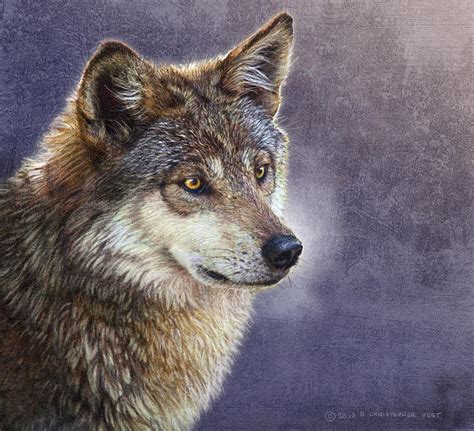 Misty Twilight Timber Wolf Digital Art By R Christopher Vest Fine Art