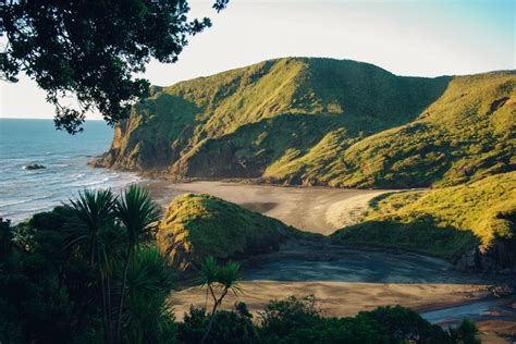 10 Best Beaches In New Zealand To Visit Hand Luggage Only Auckland
