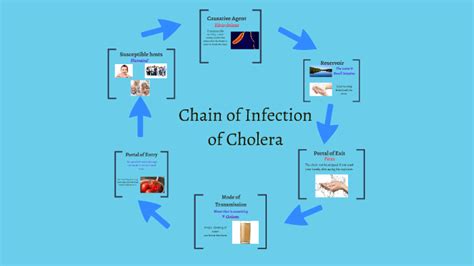 Chain Of Infection Of Cholera By Sasha Sullivan On Prezi