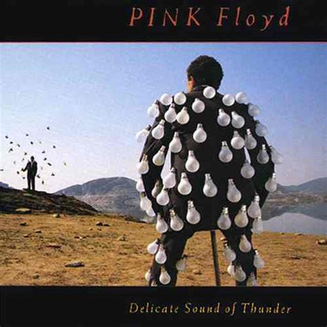 Album Cover Gallery Pink Floyd Complete Album Covers