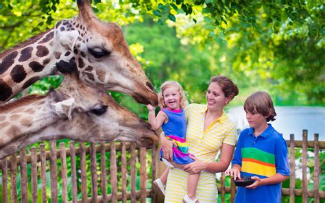 Zoo Atlanta Animal Exhibits And Sightseeing