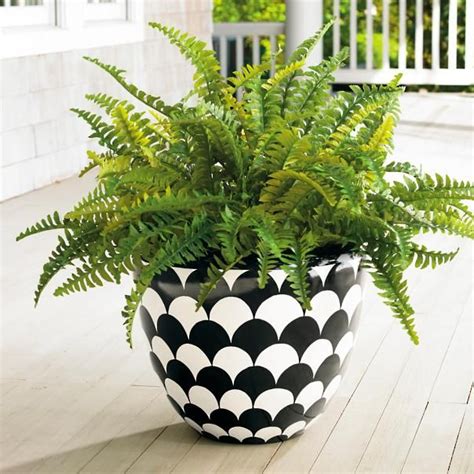 Boston Fern Urn Filler Flower Pots Planters Outdoor Urns