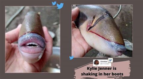 Its Fake Expert Says Viral Photo Of Fish With Human Like Teeth From