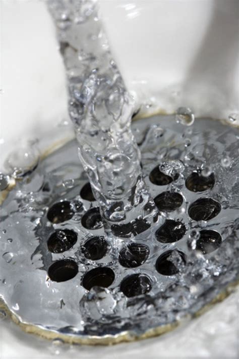 What are the little black bugs in the sink? Bugs That Come Out of the Water Drain | Hunker
