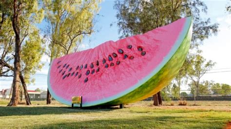Queenslands Next Big Thing Is Here And Its A Watermelon Ellaslist