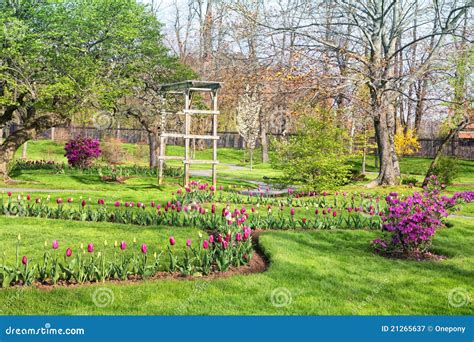 Spring Garden Stock Image Image Of Spring Rocky Pink 21265637