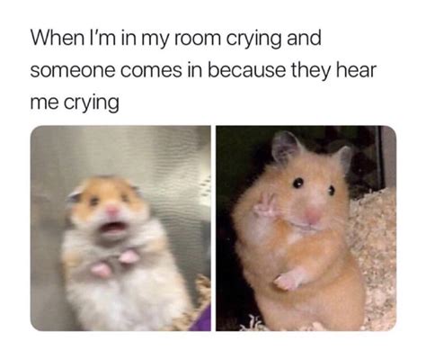 Absolutelynotmeirl Having Someone Check Up On Me When Im Crying Not