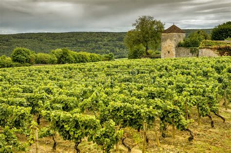 Chateau With Vineyards Burgundy France Stock Photo Image Of