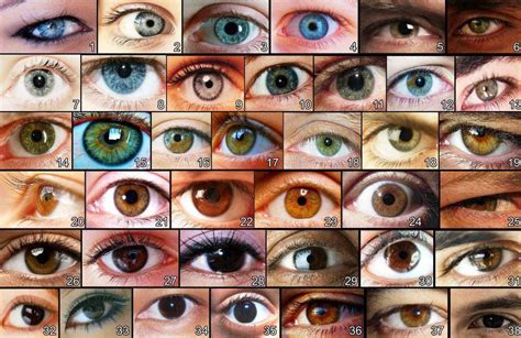Los Colores De Ojos Más Raros En Seres Humanos Taringa
