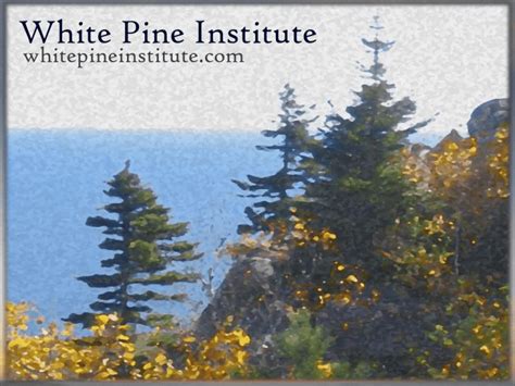 What Is Act White Pine Institute